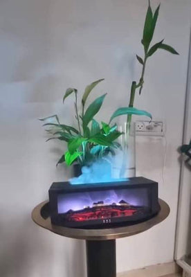 תמונה מהלקוח