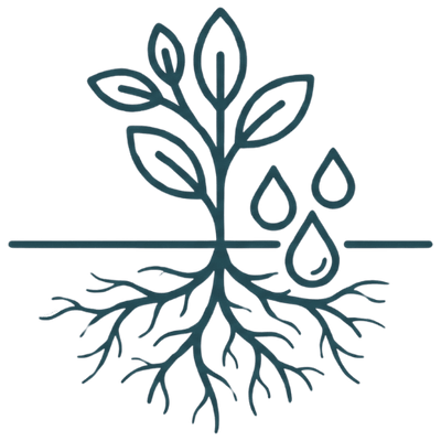 השקיה ממוקדת