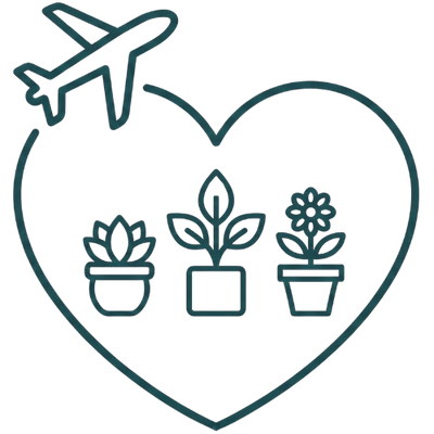 חופשה ללא דאגות