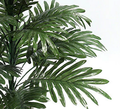 Erica coconut leaf