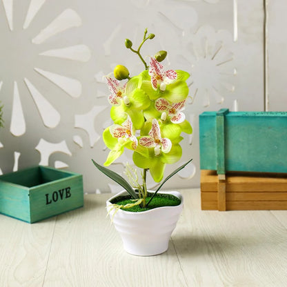 Small orchid 4 colors