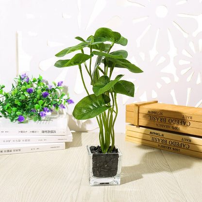 A compact flowerpot in a glass vase