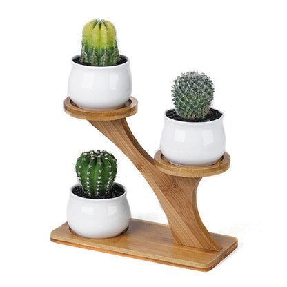 Set of 3 pots on a bamboo shelf