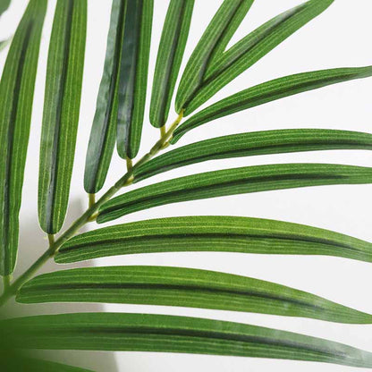 Erica coconut leaf