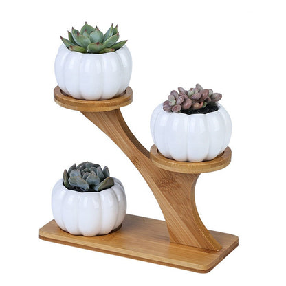 Set of 3 pots on a bamboo shelf