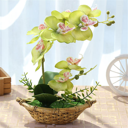 Butterfly orchid in a boat vase