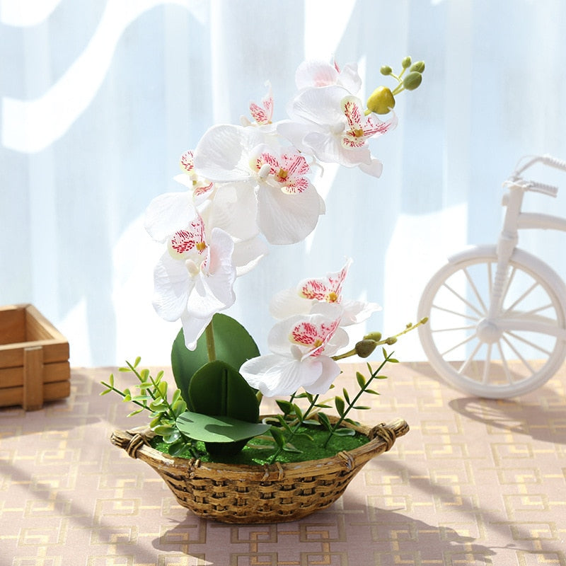 Butterfly orchid in a boat vase