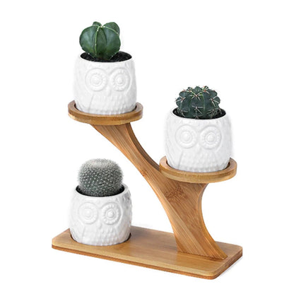 Set of 3 pots on a bamboo shelf