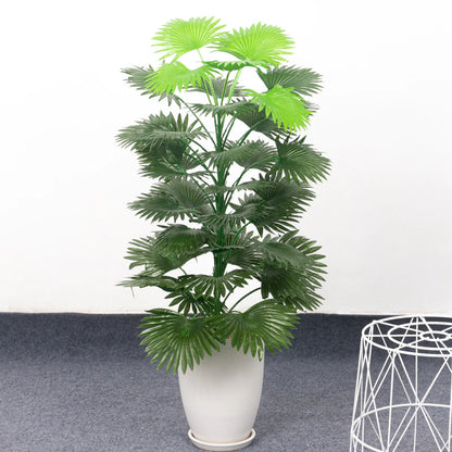 Monstera a une feuille pointue