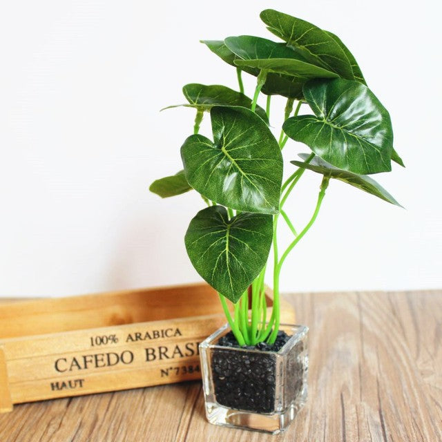 Un pot de fleurs compact dans un vase en verre