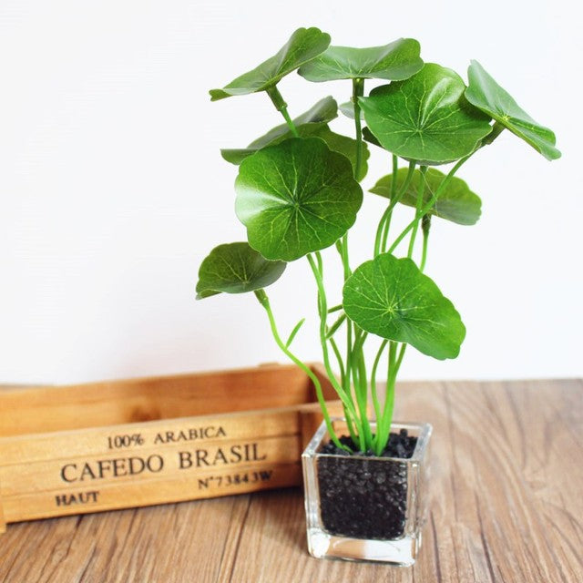 A compact flowerpot in a glass vase