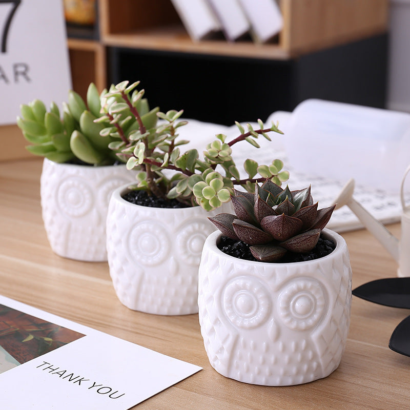 Set of 3 pots on a bamboo shelf