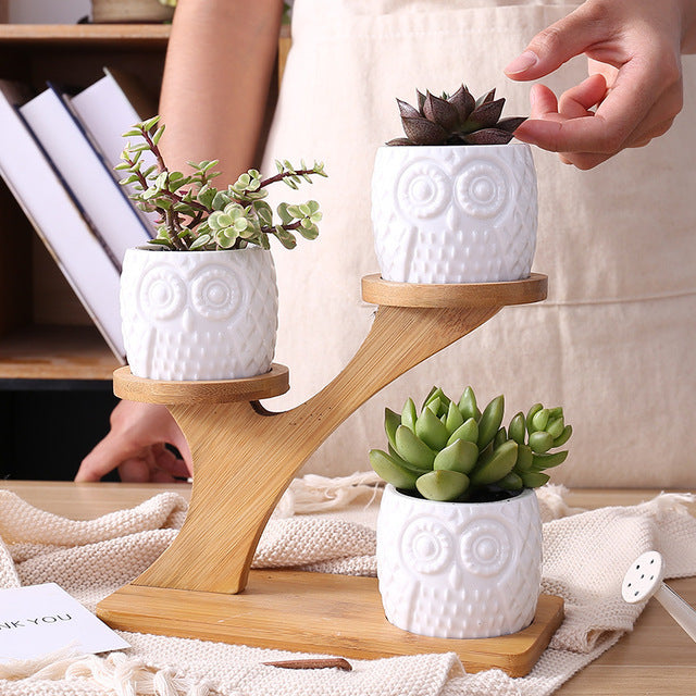 Set of 3 pots on a bamboo shelf