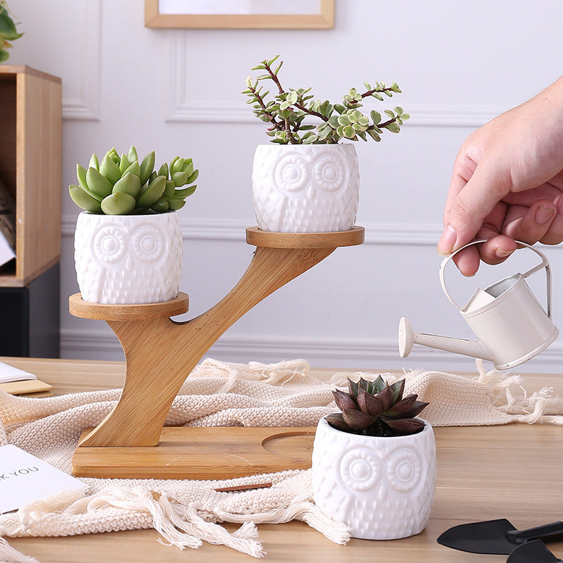 Set of 3 pots on a bamboo shelf