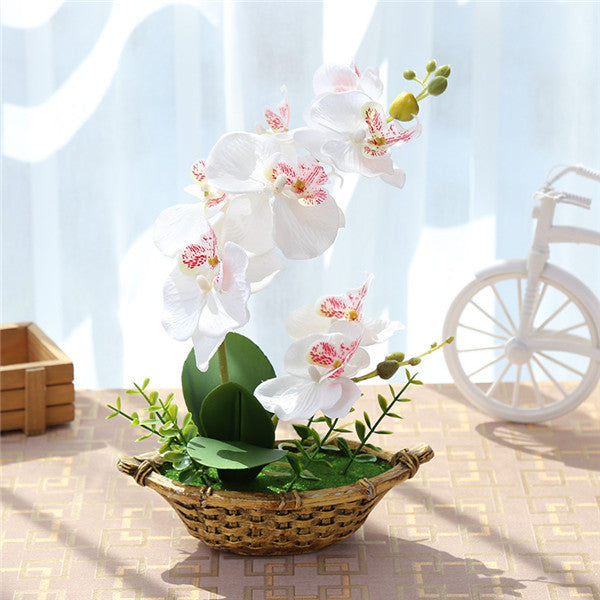 Orchidée papillon dans un vase bateau